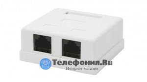 Розетка компьютерная RJ-45, настенная, 2 порта RJ-45 (8P8C) SINELLS SNL-88452